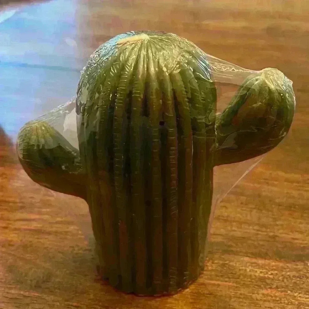 Cactus Candle NWT Unscented 24oz